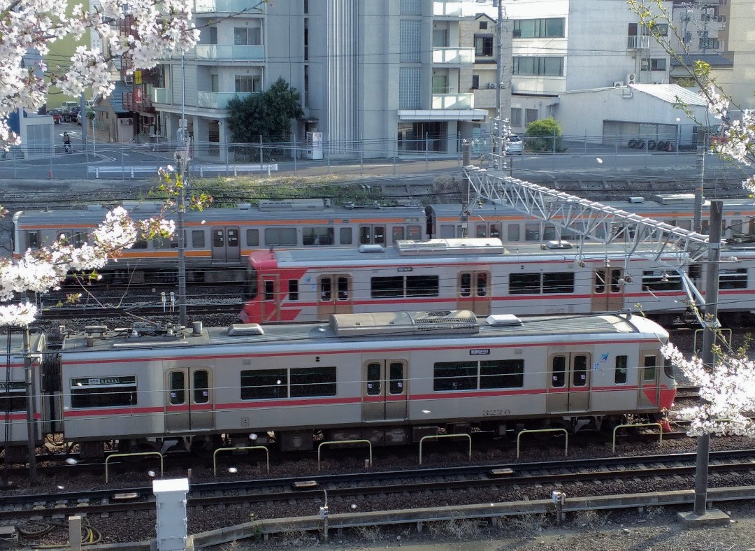 f:id:okinawa-rail:20230411233841j:image f:id:okinawa-rail:20230411233841j:image