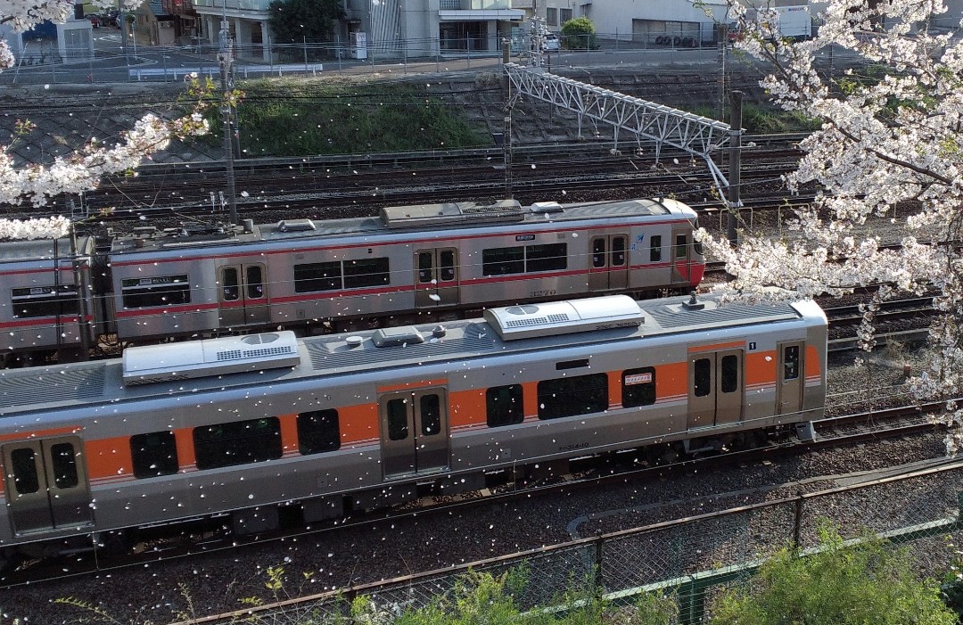 f:id:okinawa-rail:20230411235058j:image