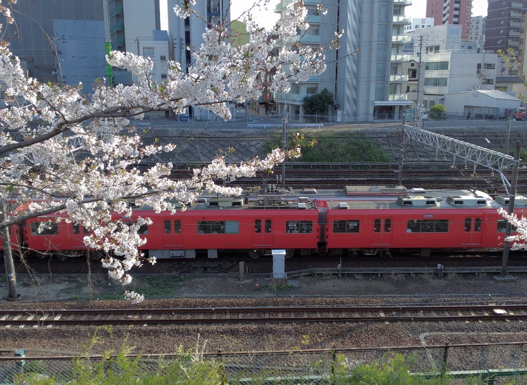 f:id:okinawa-rail:20230411235747j:image