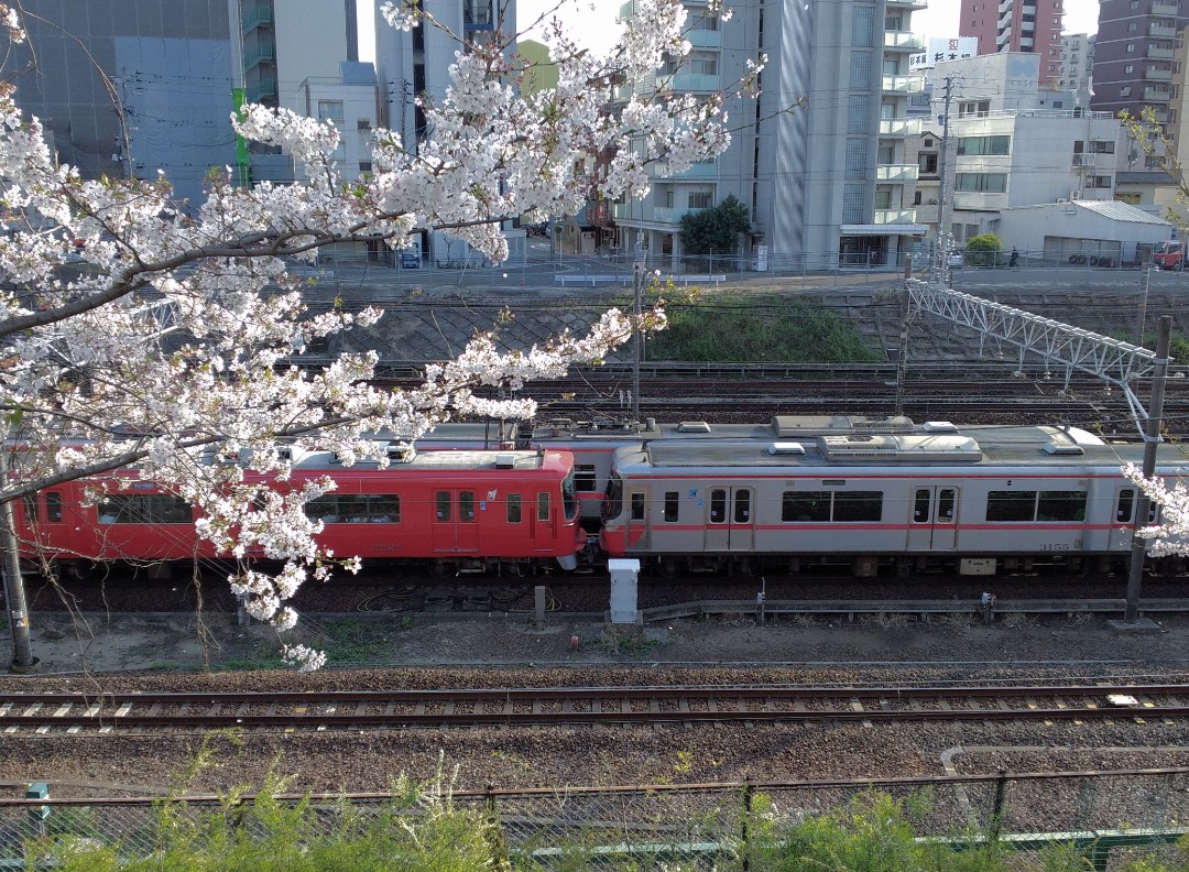 f:id:okinawa-rail:20230411235809j:image f:id:okinawa-rail:20230411235809j:image