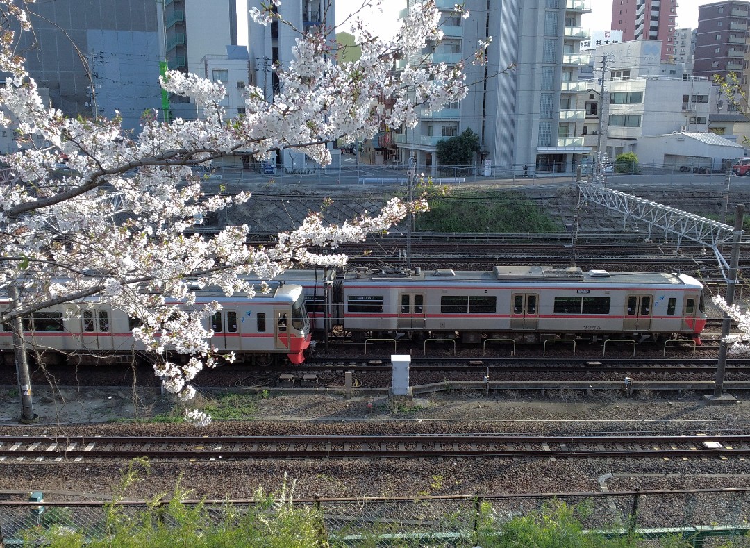 f:id:okinawa-rail:20230411235905j:image