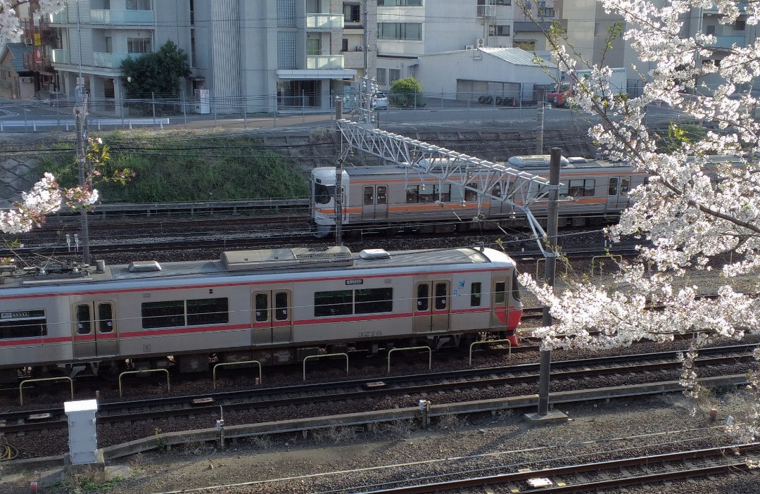 f:id:okinawa-rail:20230412011418j:image f:id:okinawa-rail:20230412011418j:image