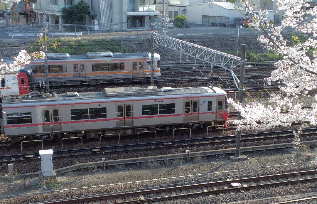 f:id:okinawa-rail:20230412011446j:image f:id:okinawa-rail:20230412011446j:image