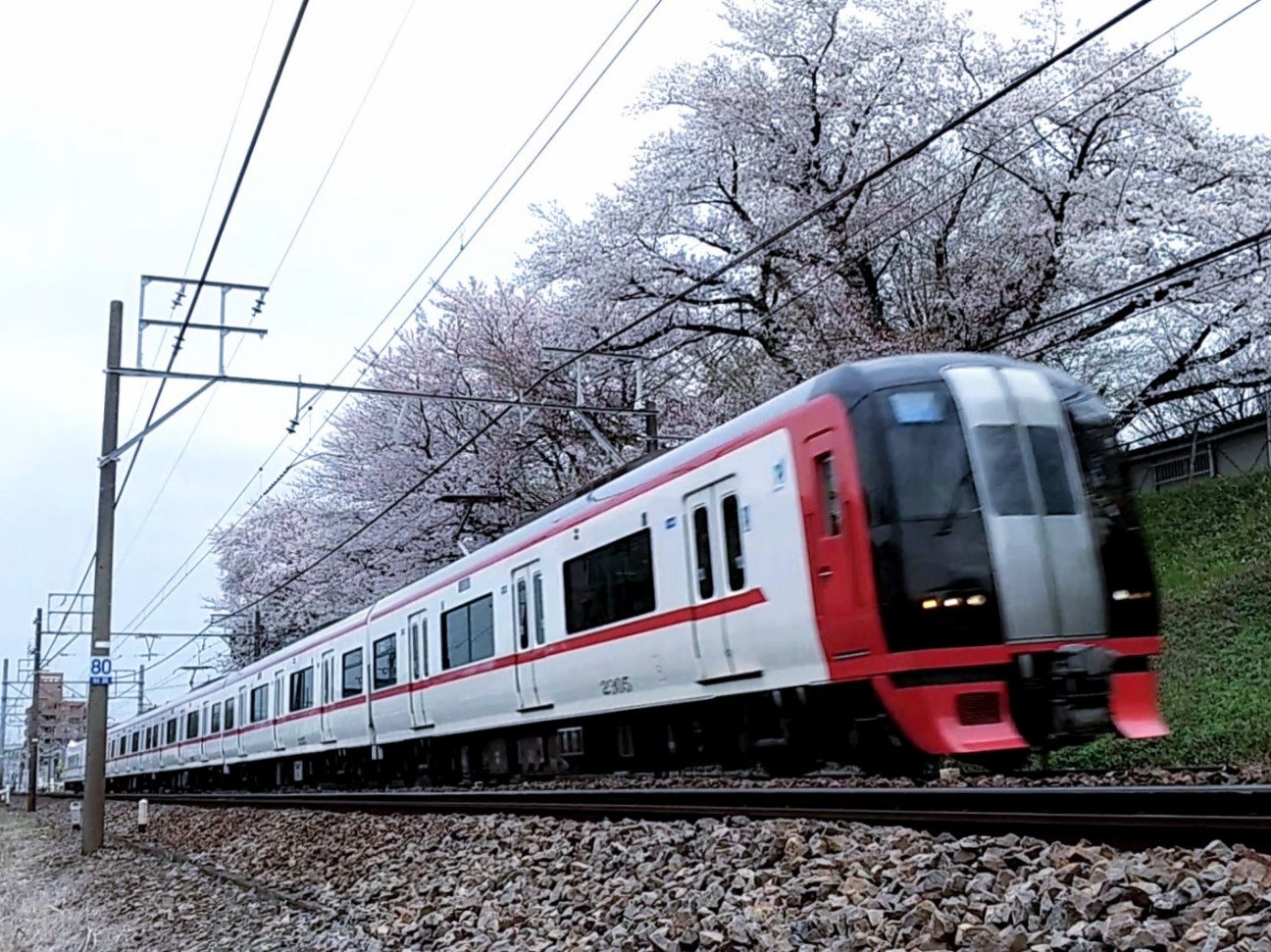 f:id:okinawa-rail:20230412011940j:image f:id:okinawa-rail:20230412011940j:image
