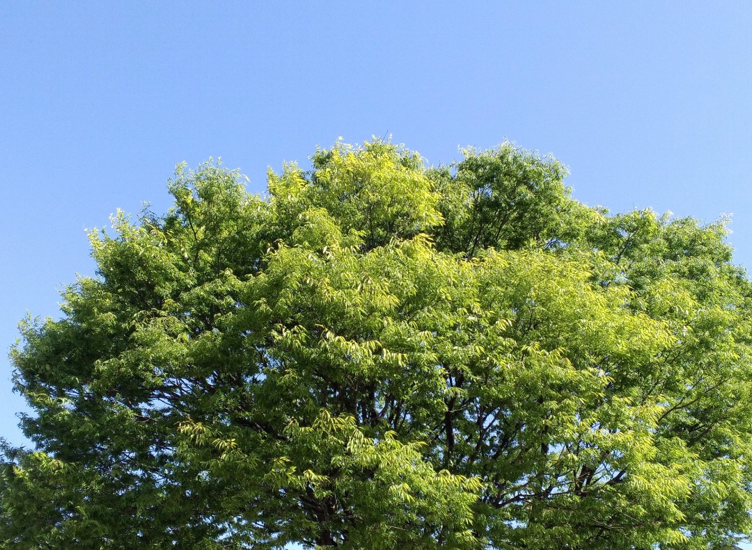 f:id:okinawa-rail:20230416215810j:image