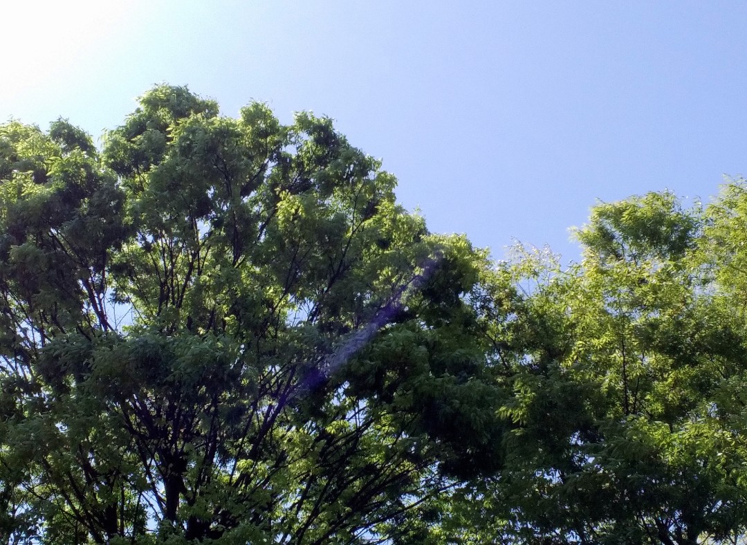 f:id:okinawa-rail:20230416215911j:image