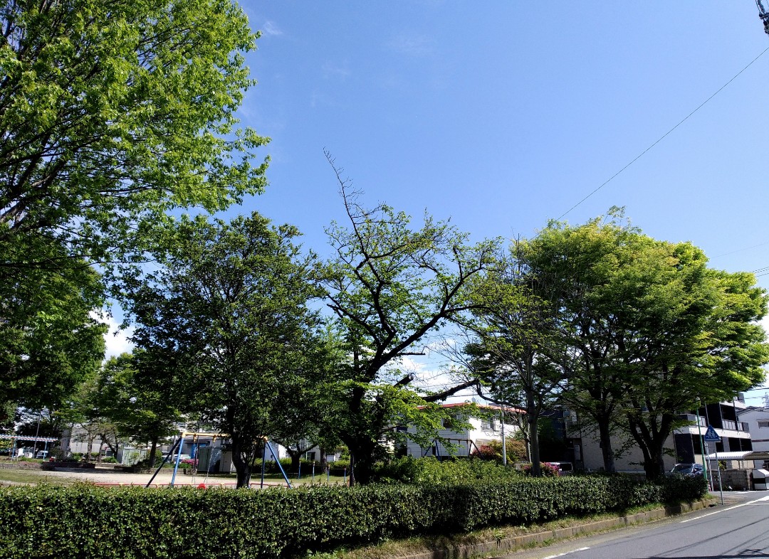 f:id:okinawa-rail:20230416221626j:image