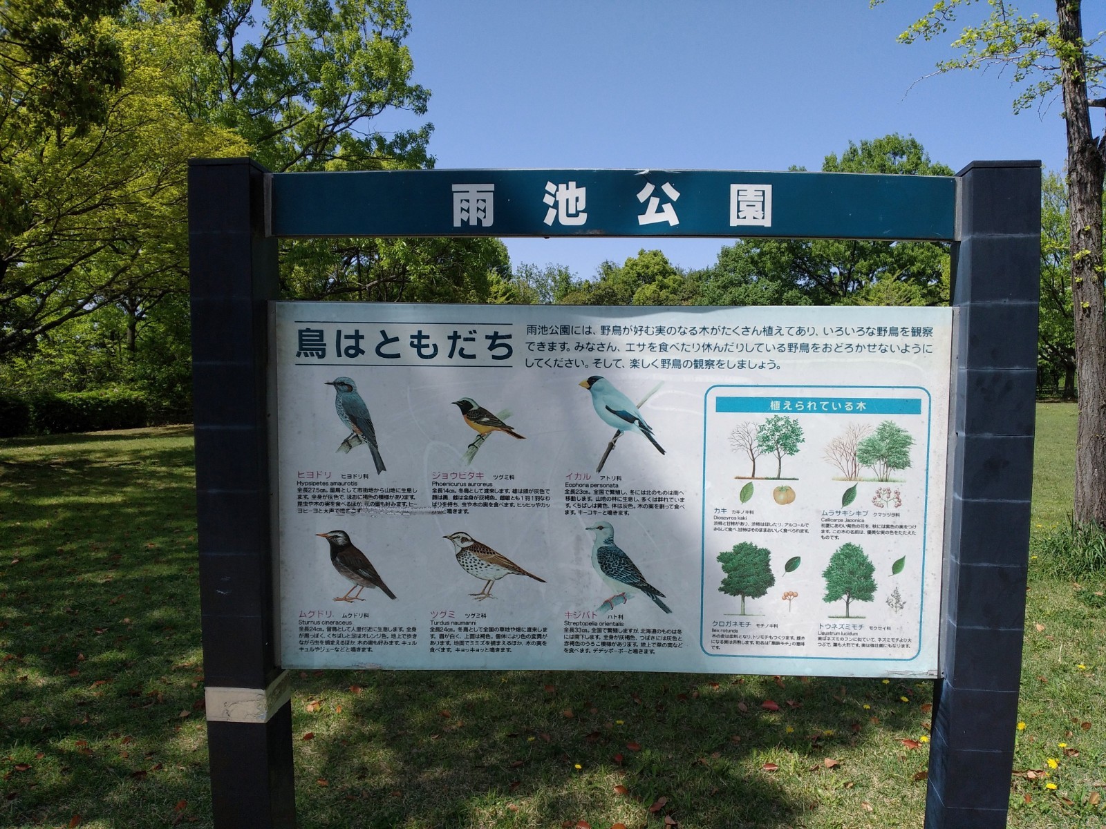 f:id:okinawa-rail:20230423183109j:image