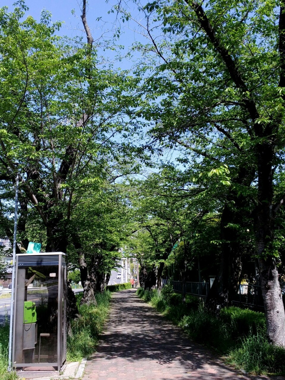 f:id:okinawa-rail:20230423183427j:image
