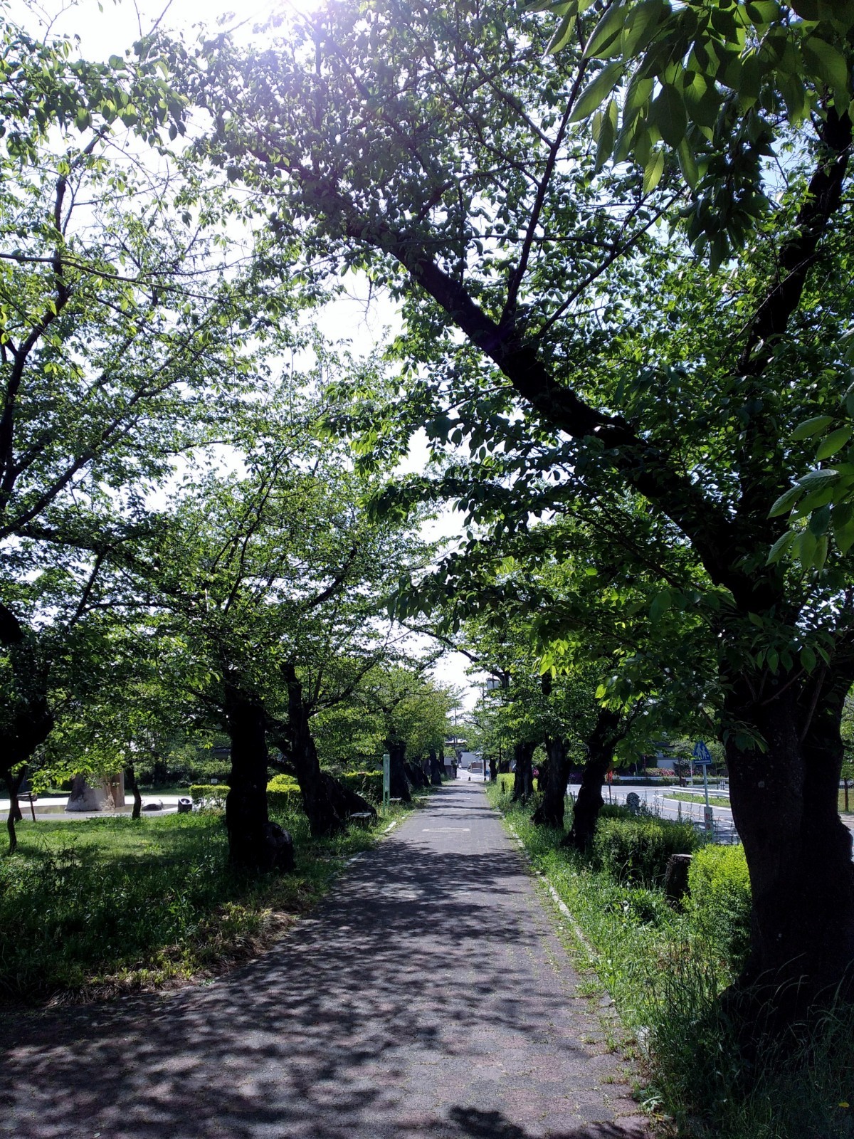f:id:okinawa-rail:20230423183550j:image