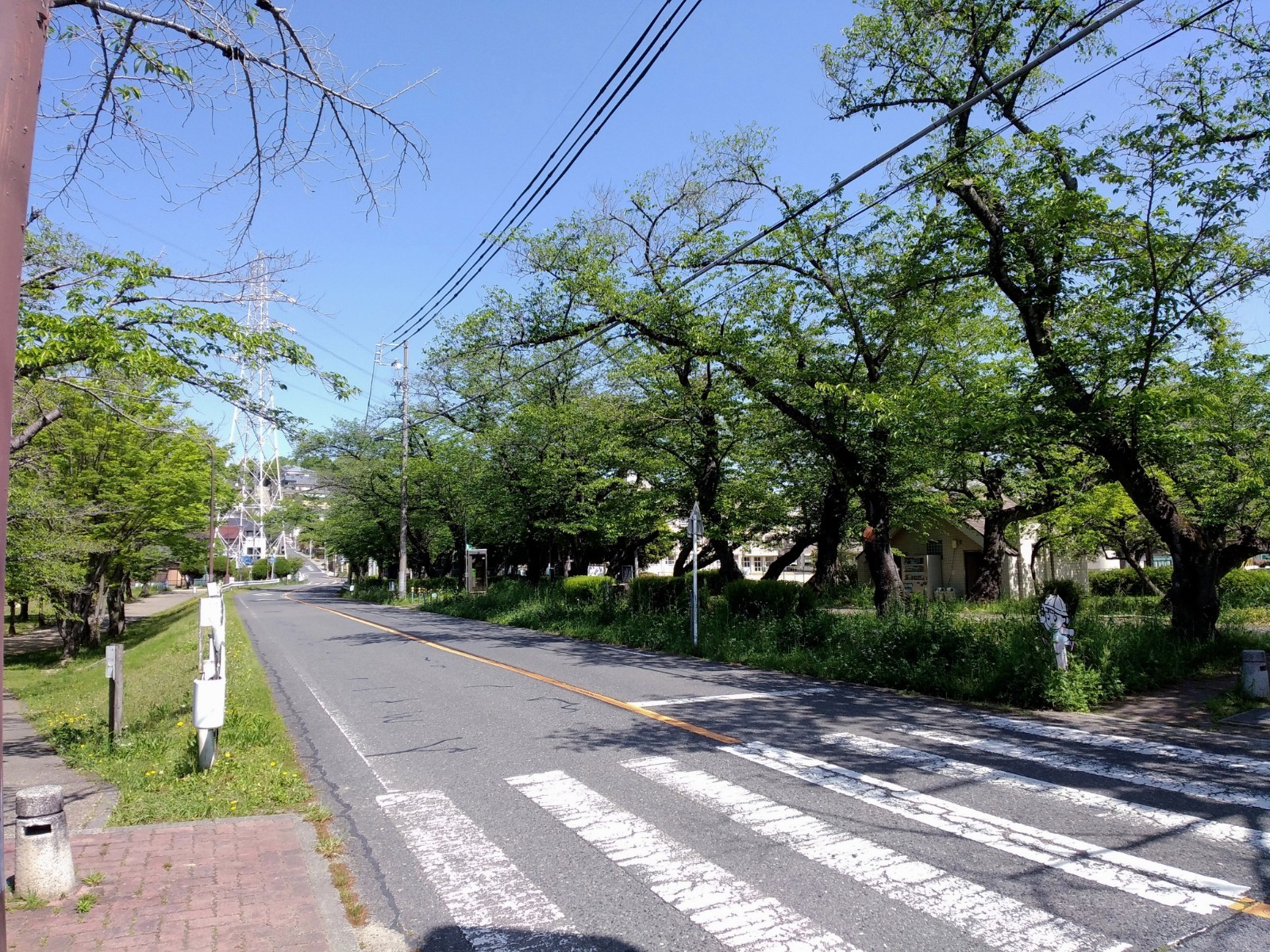 f:id:okinawa-rail:20230423183653j:image