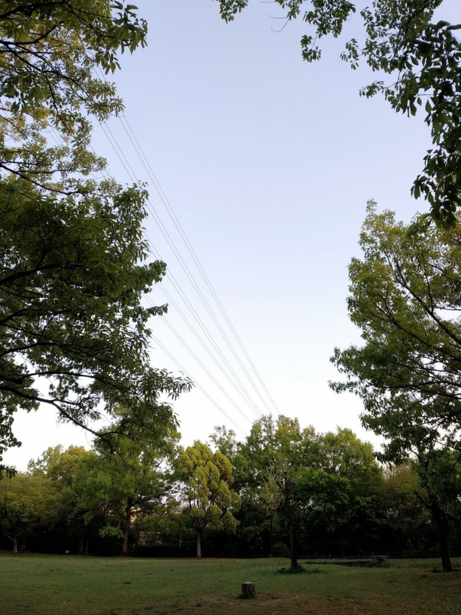 f:id:okinawa-rail:20230423184032j:image