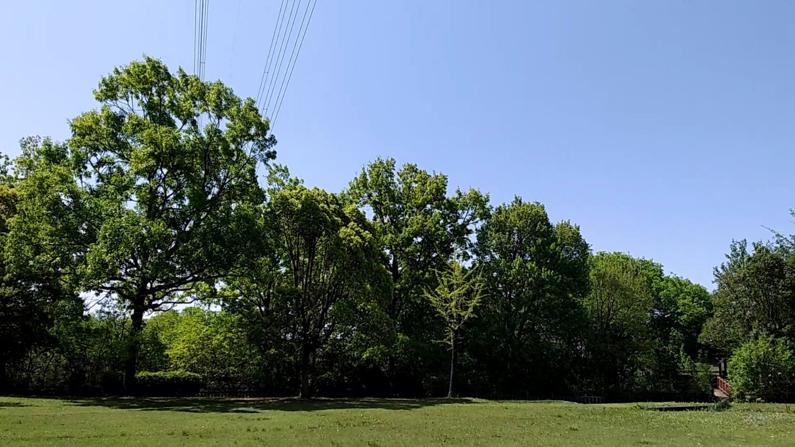 f:id:okinawa-rail:20230423184338j:image