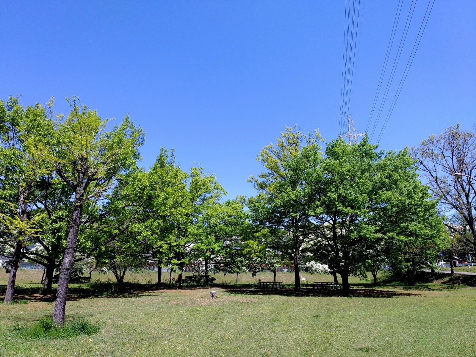 f:id:okinawa-rail:20230423184420j:image