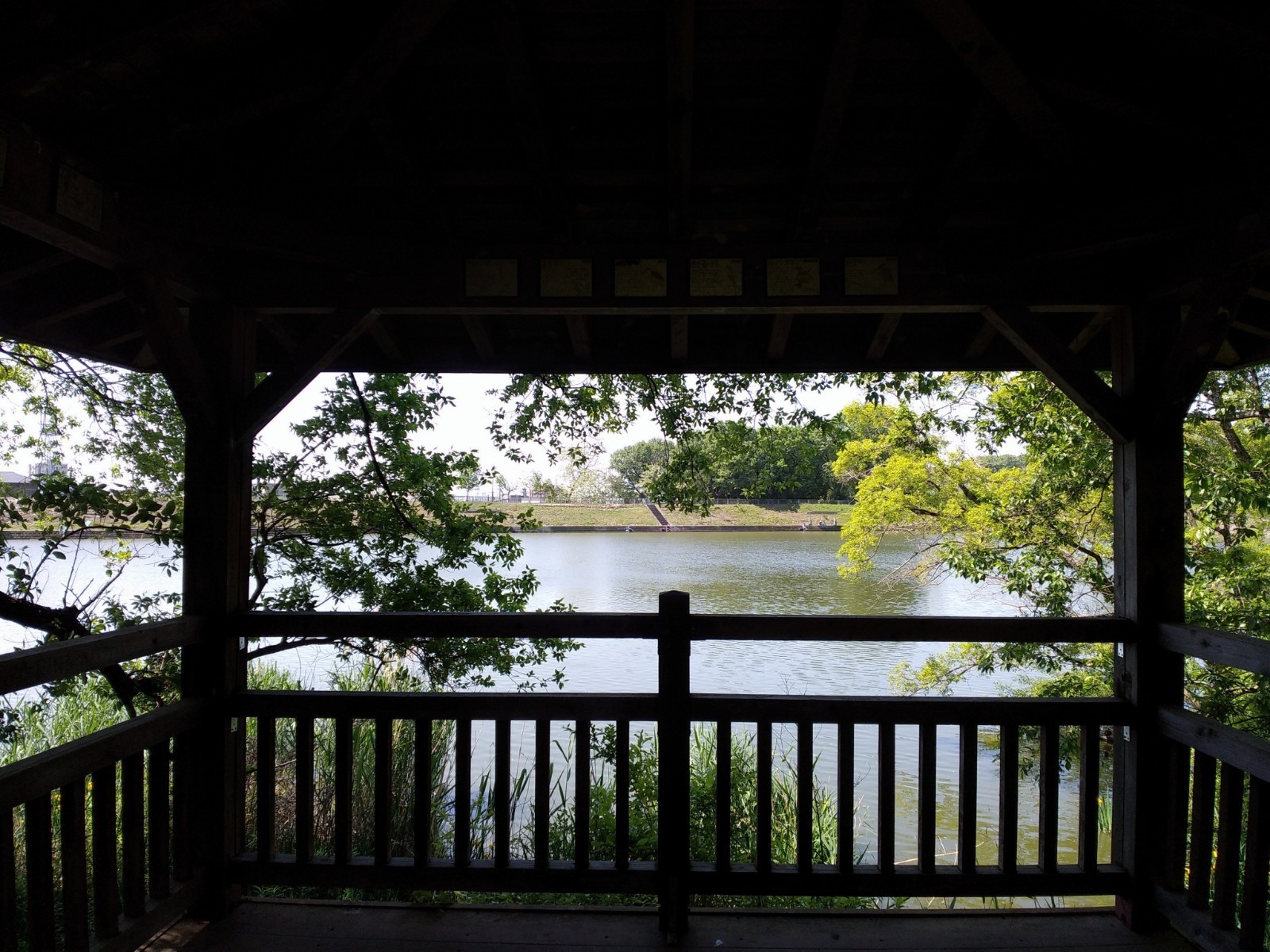 f:id:okinawa-rail:20230423191319j:image
