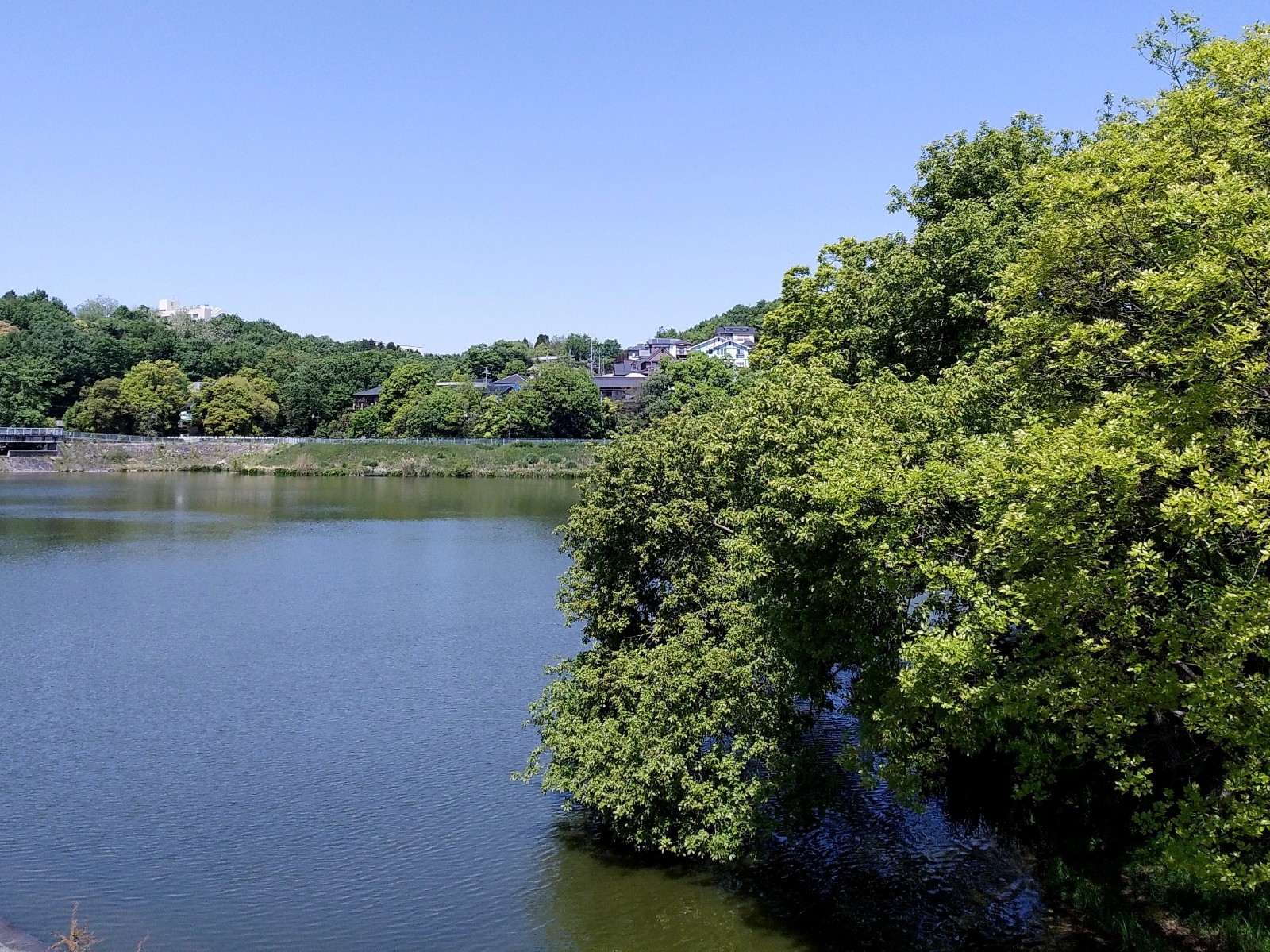 f:id:okinawa-rail:20230423192029j:image