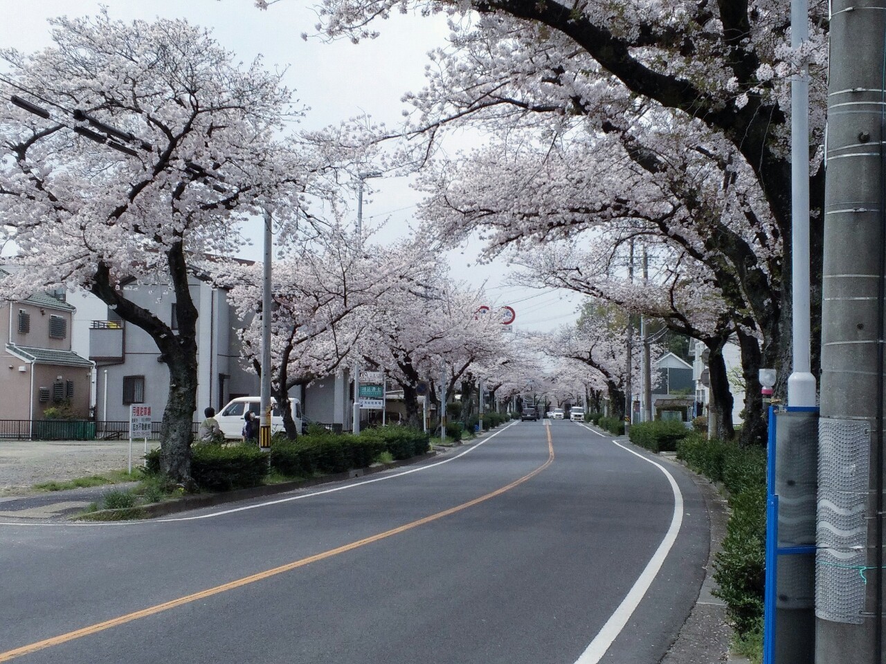 f:id:okinawa-rail:20230423195731j:image
