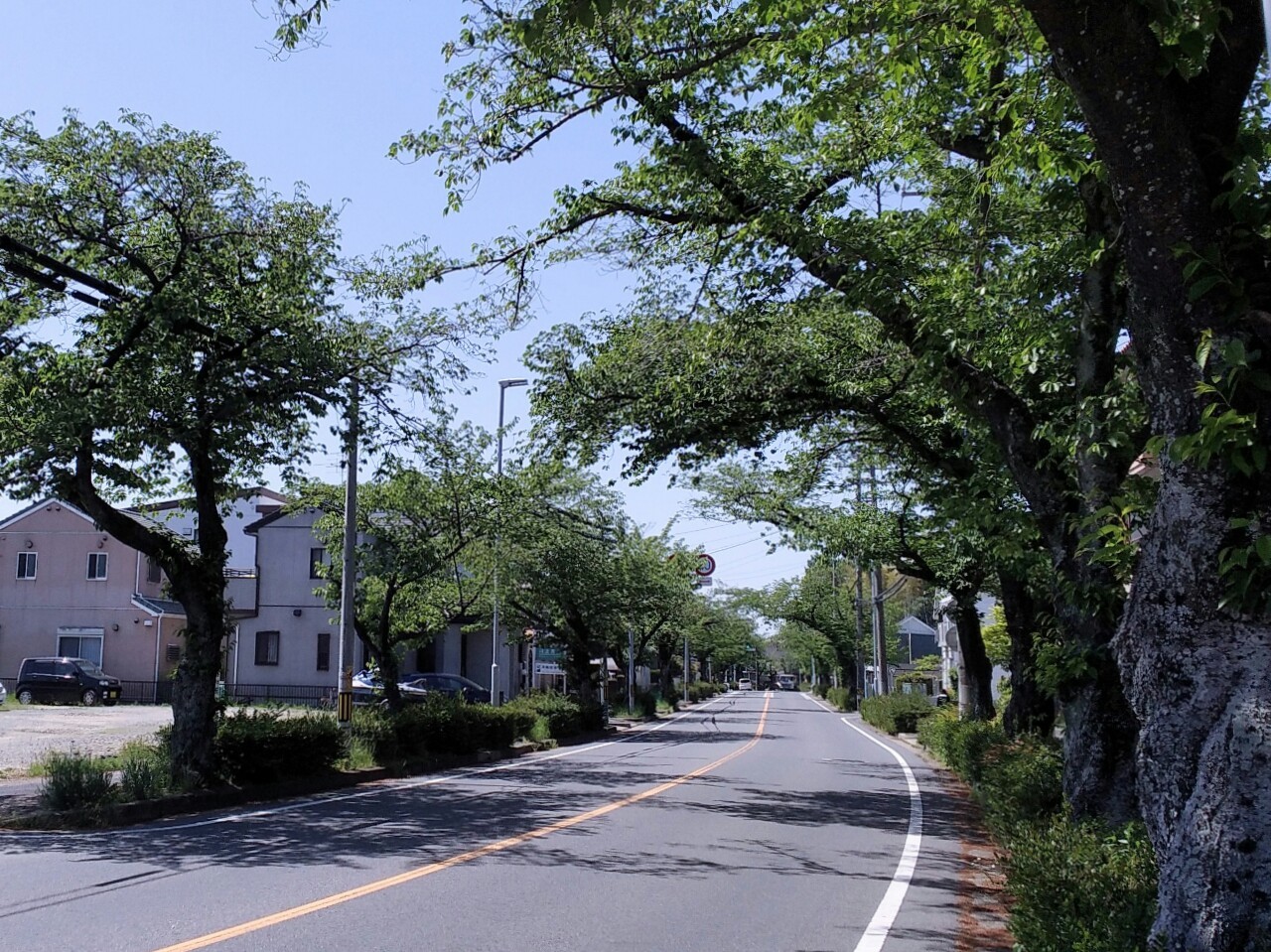 f:id:okinawa-rail:20230423200016j:image