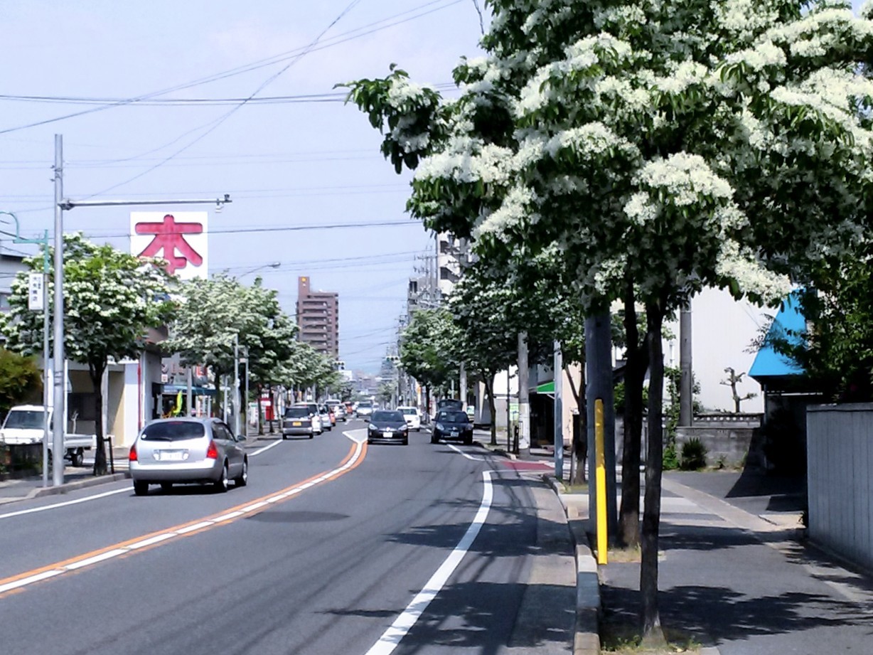 f:id:okinawa-rail:20230424213451j:image f:id:okinawa-rail:20230424213451j:image
