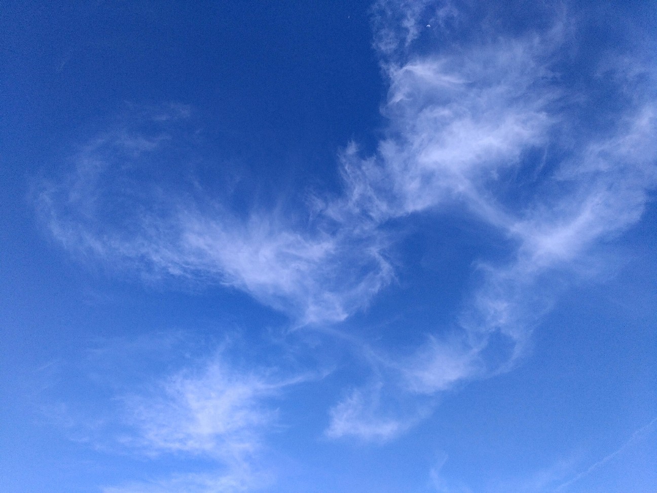 f:id:okinawa-rail:20230430002813j:image