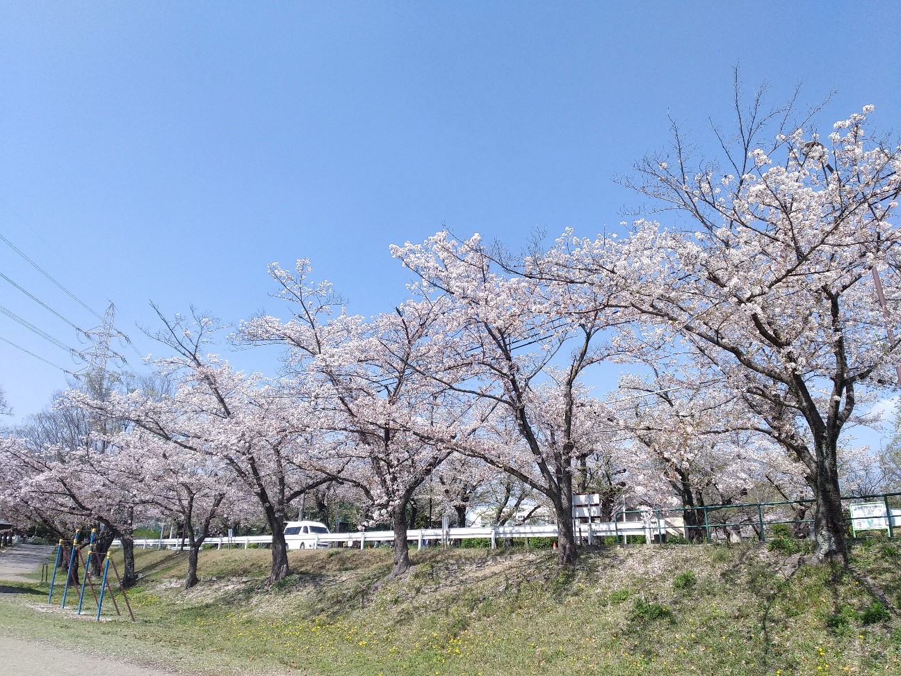 f:id:okinawa-rail:20240410194159j:image
