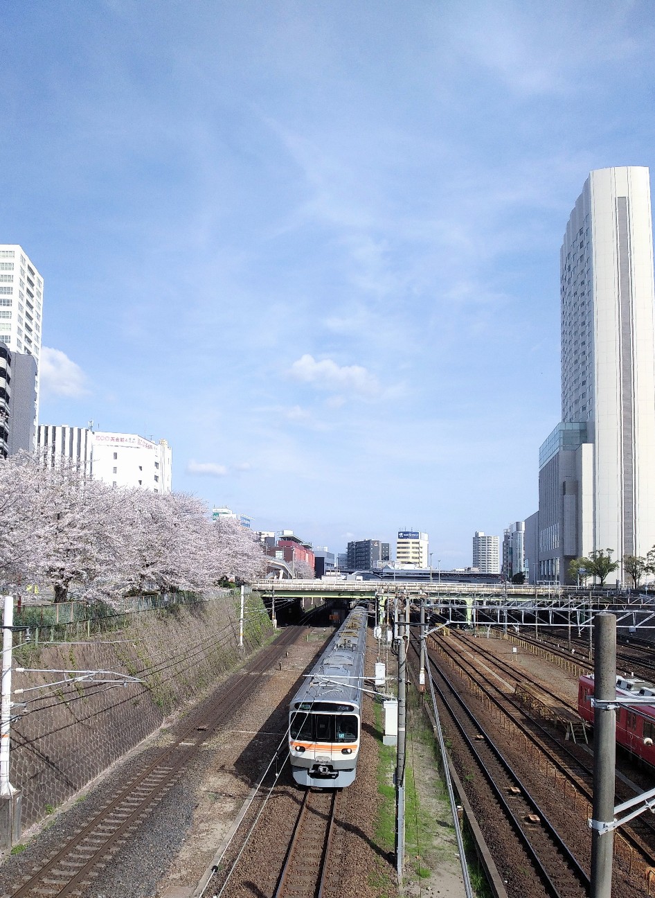 f:id:okinawa-rail:20240410194228j:image