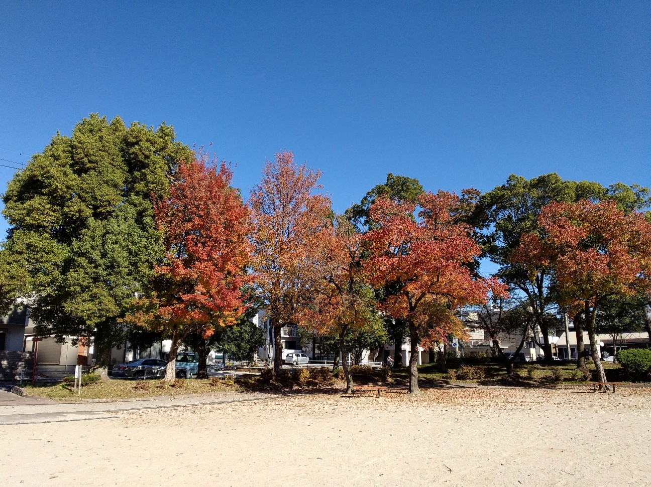 f:id:okinawa-rail:20251123213903j:image