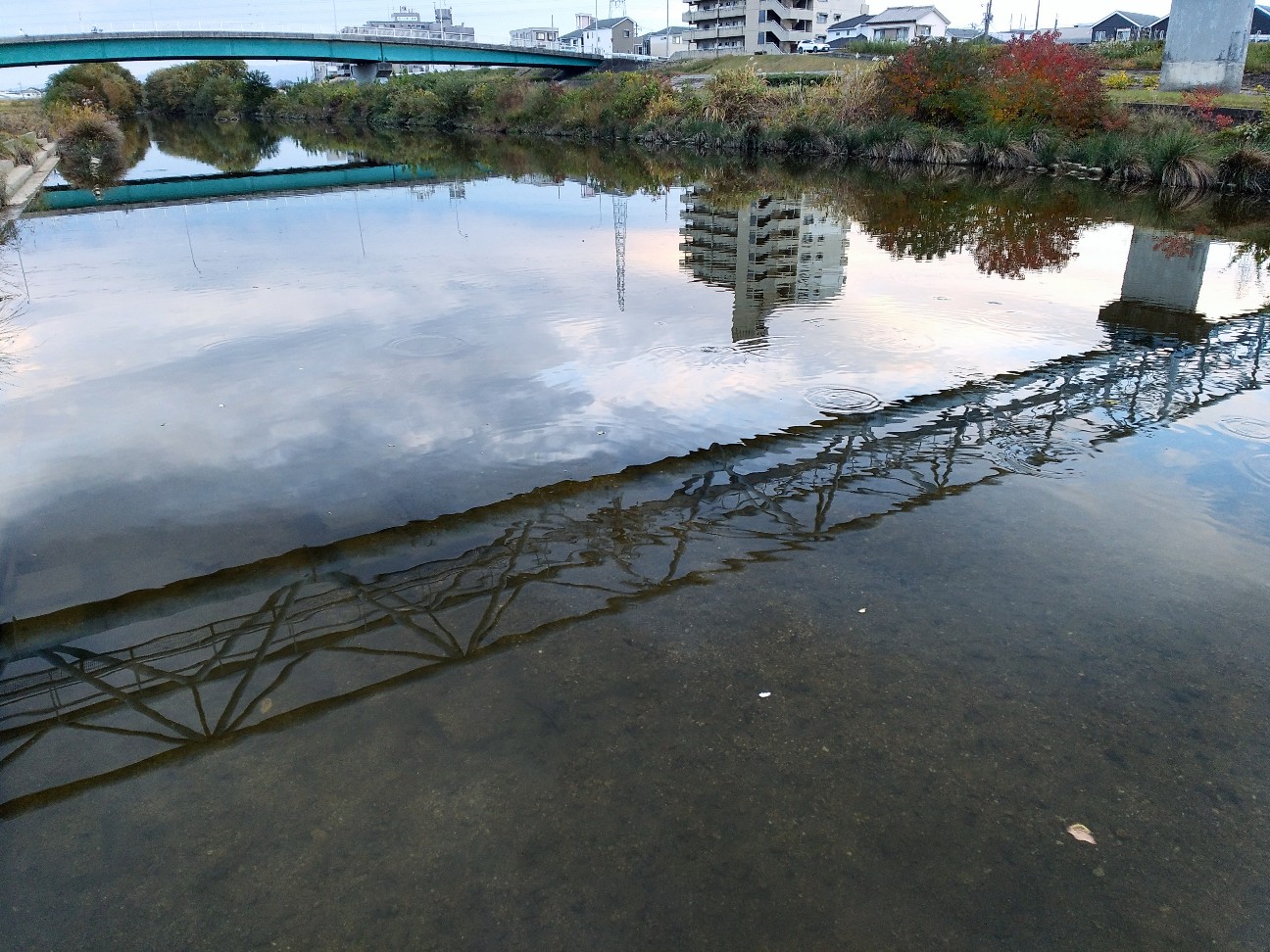 f:id:okinawa-rail:20251124220128j:image