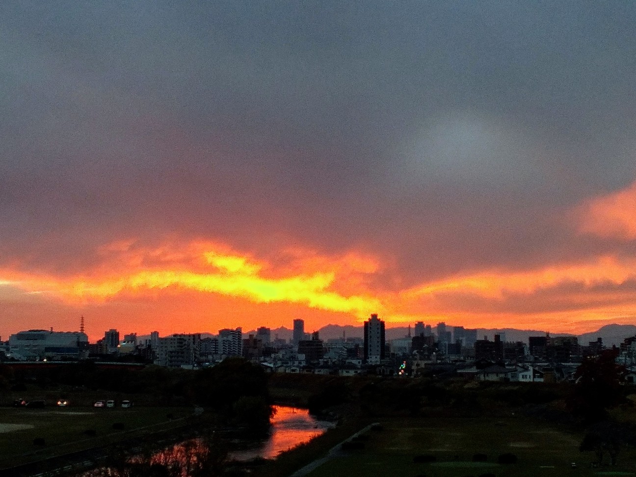 f:id:okinawa-rail:20251124221647j:image