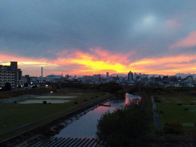 f:id:okinawa-rail:20251124222443j:image