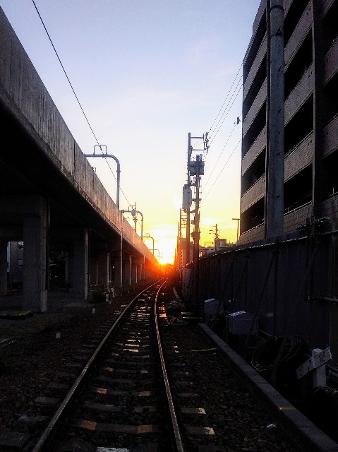 f:id:okinawa-rail:20251124232933j:image