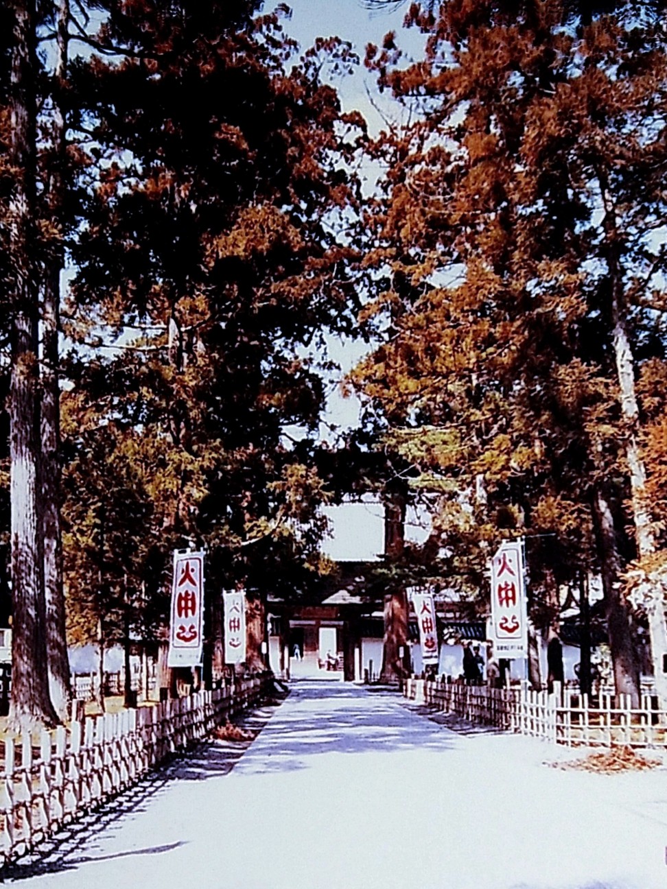 f:id:okinawa-rail:20260322233937j:image