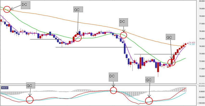 f:id:okinawa-support:20190916103055j:plain