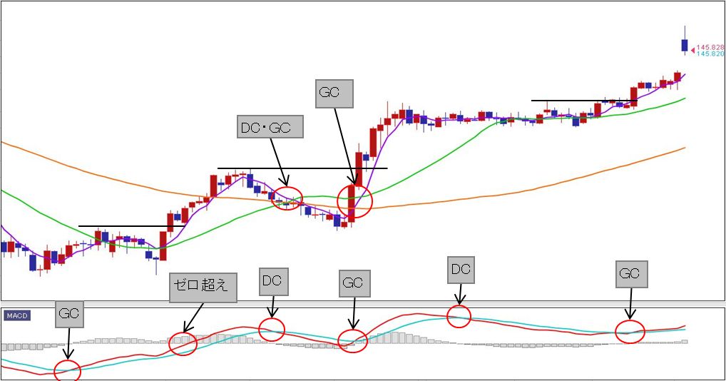 f:id:okinawa-support:20191216123459j:plain f:id:okinawa-support:20191216123459j:plain