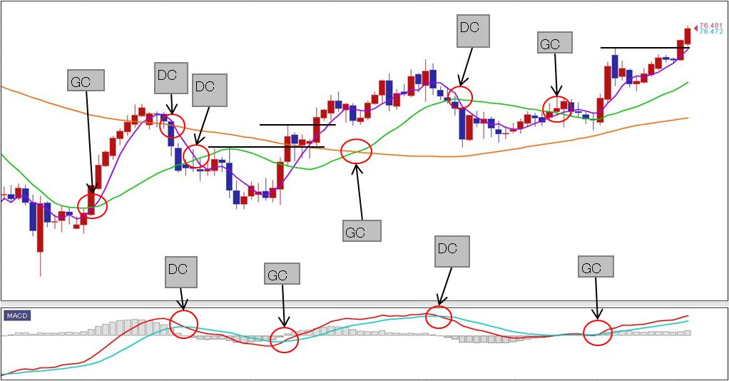 f:id:okinawa-support:20191230074203j:plain f:id:okinawa-support:20191230074203j:plain