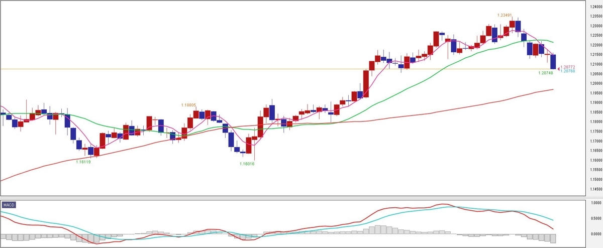 f:id:okinawa-support:20210118082540j:plain