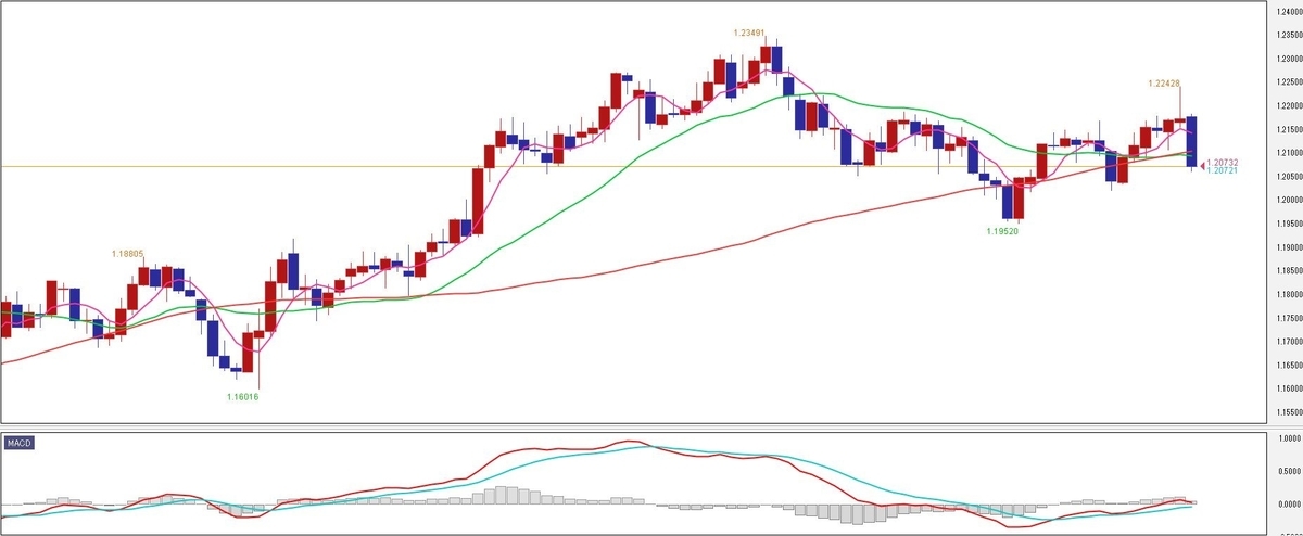 f:id:okinawa-support:20210301070320j:plain