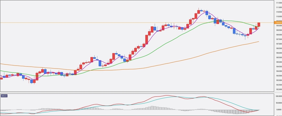 f:id:okinawa-support:20210503072720j:plain