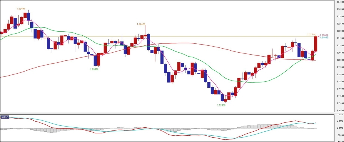 f:id:okinawa-support:20210510085910j:plain