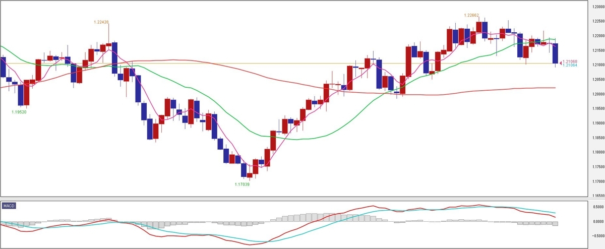 f:id:okinawa-support:20210614084110j:plain