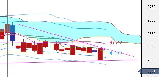 トルコリラ見通し
