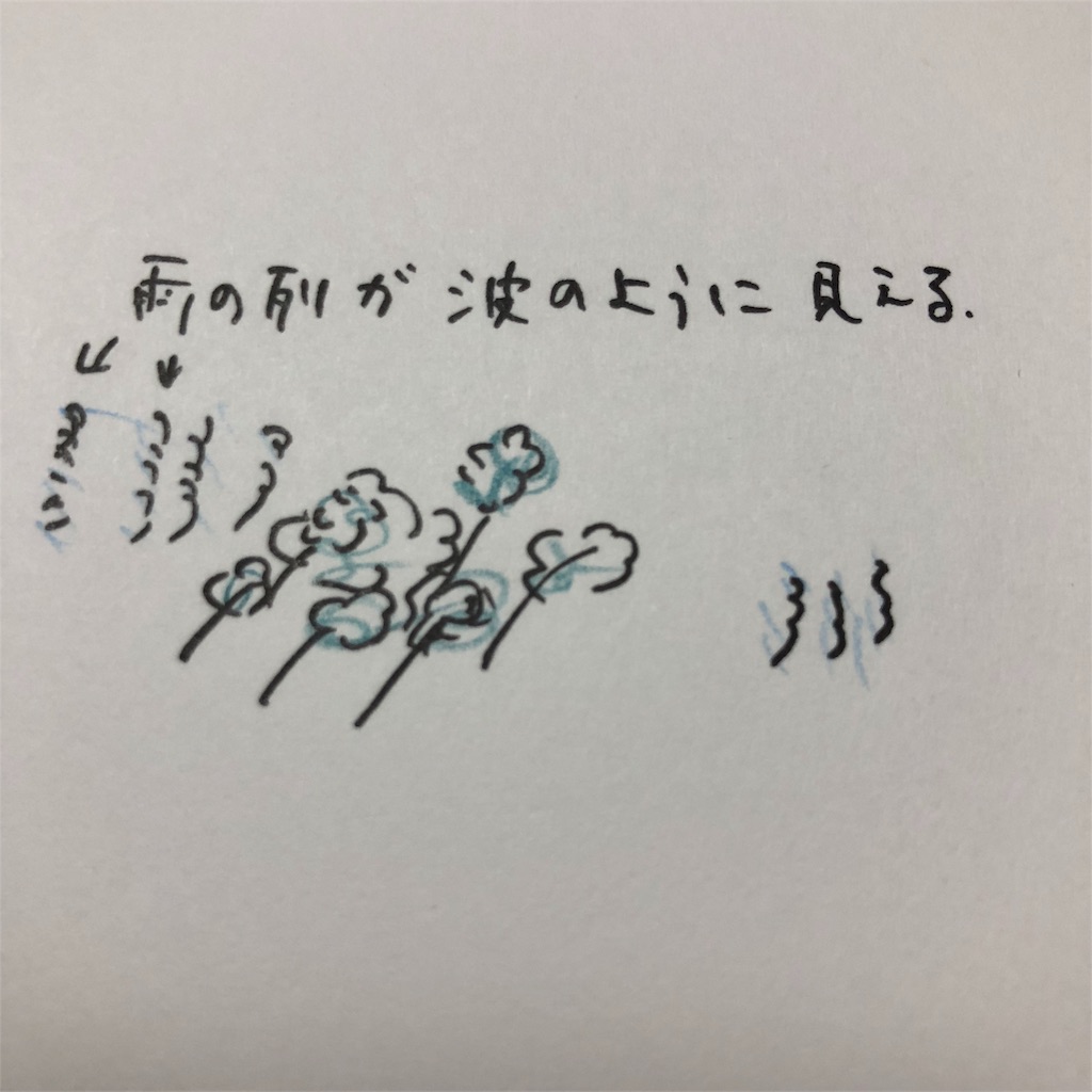 f:id:okinawacats:20180929074419j:image