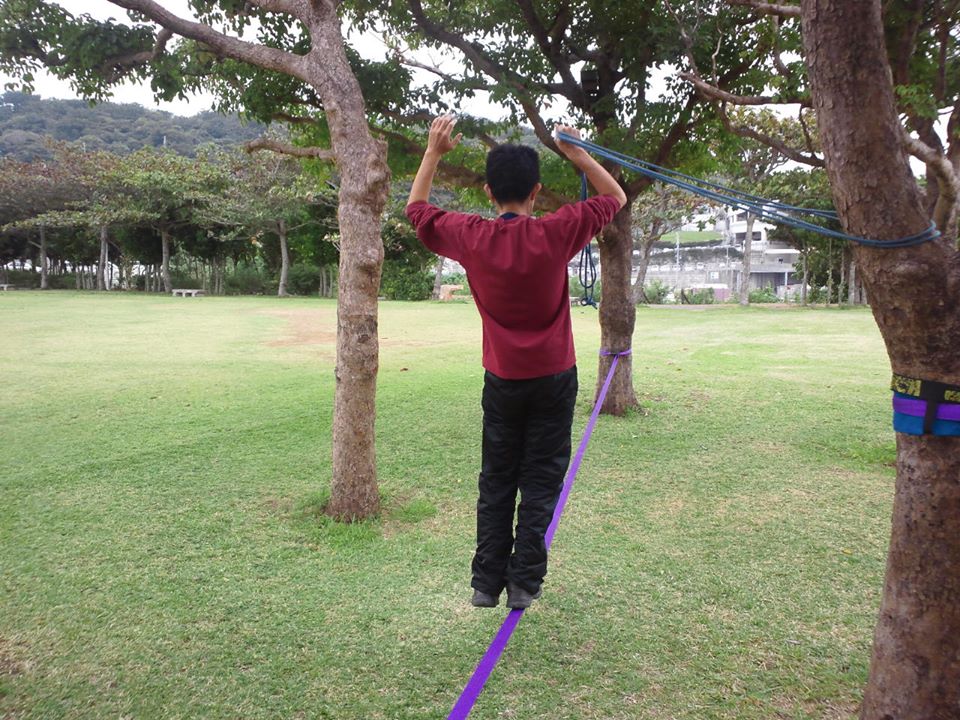 f:id:okinawanaturop:20190111124544j:plain