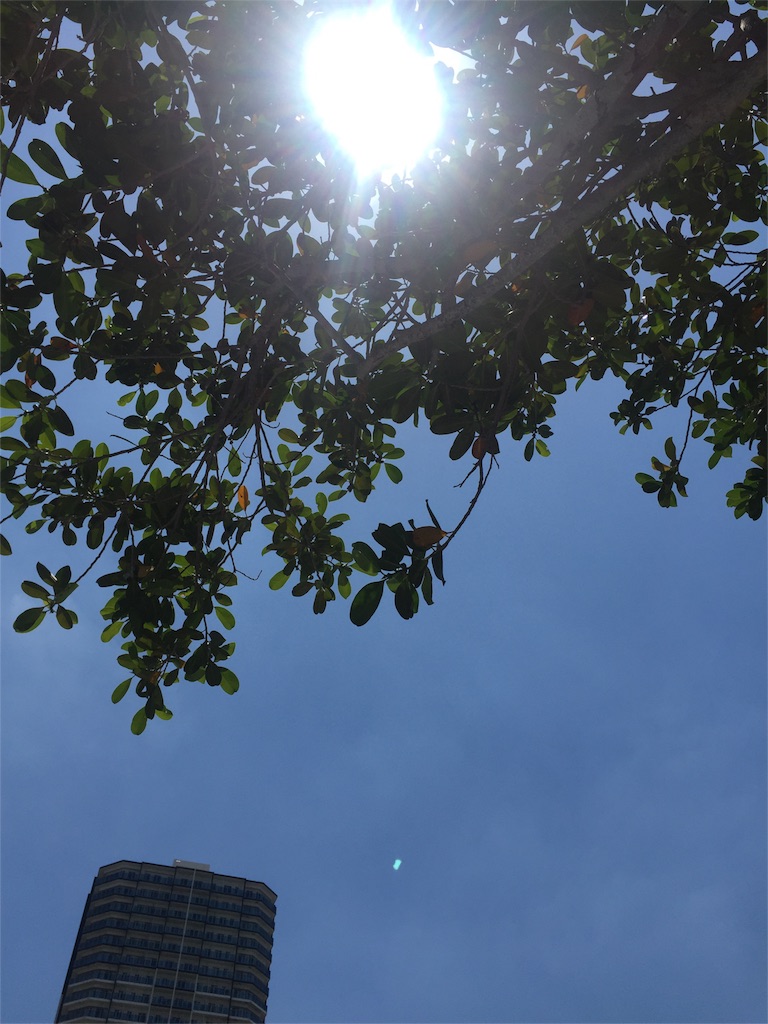f:id:okinawawonderlife:20170430125842j:image