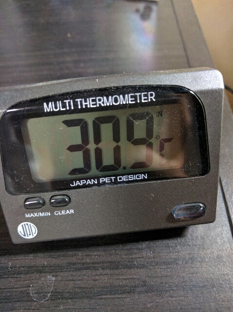 テトラクールファン購入 ゆらりゆらゆら趣くままに