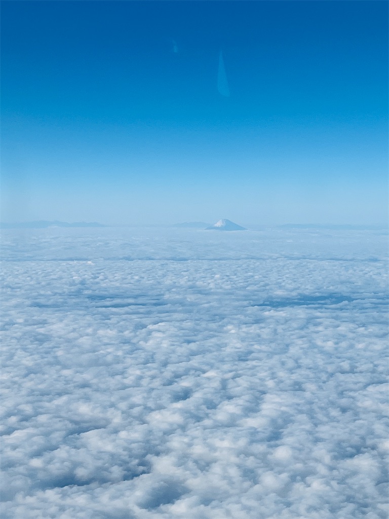 f:id:okinoren:20231203121422j:image