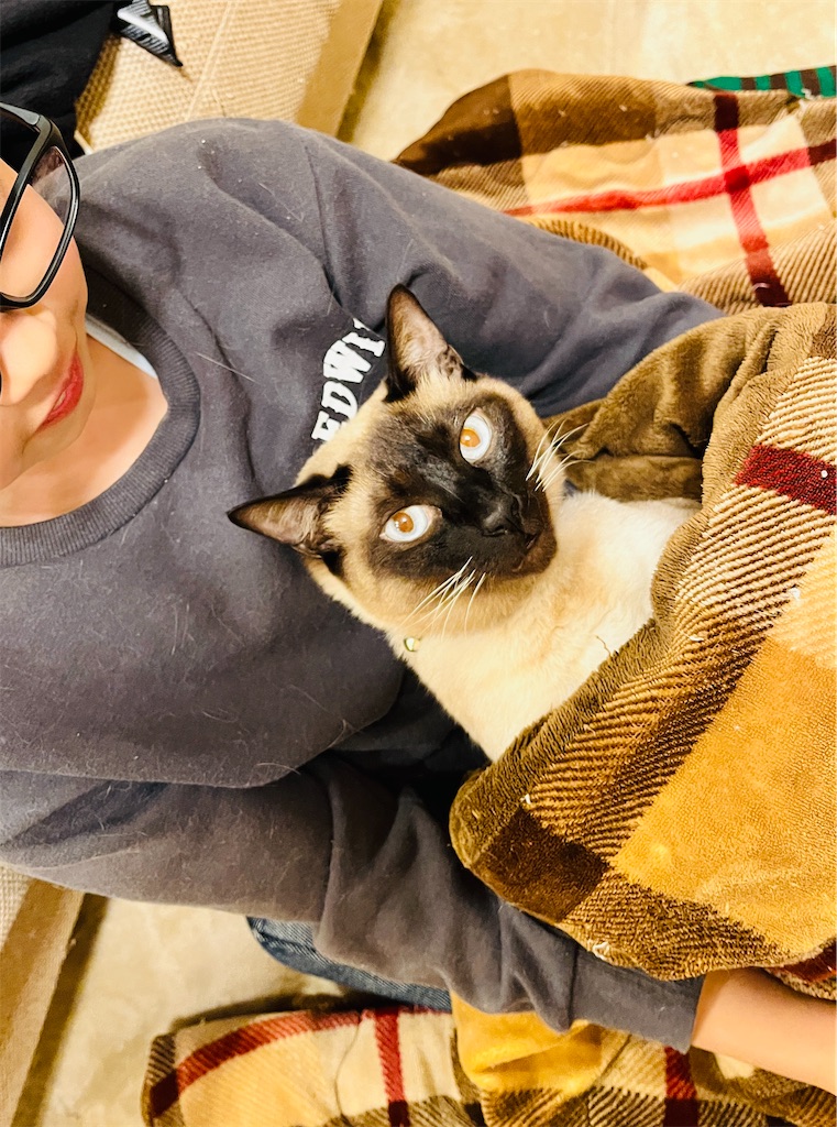 f:id:okinoren:20260410160430j:image