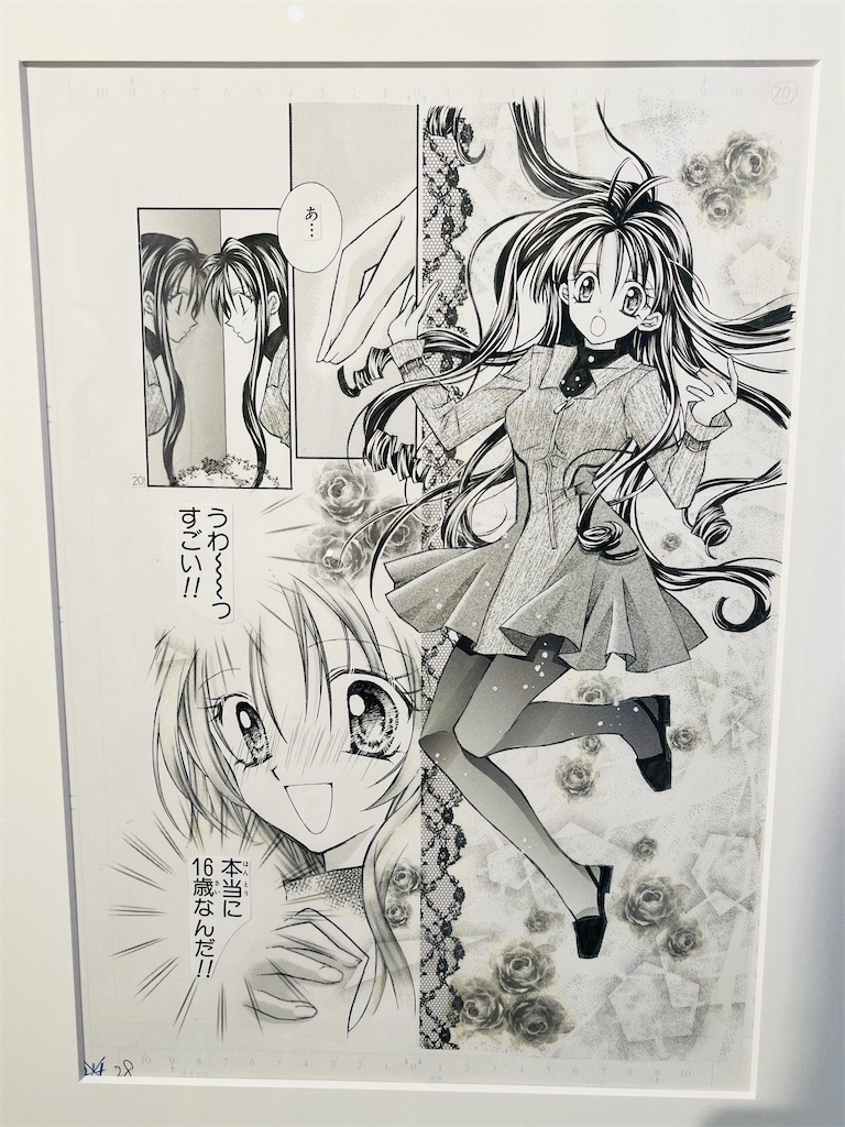 f:id:okinoren:20260528083959j:image