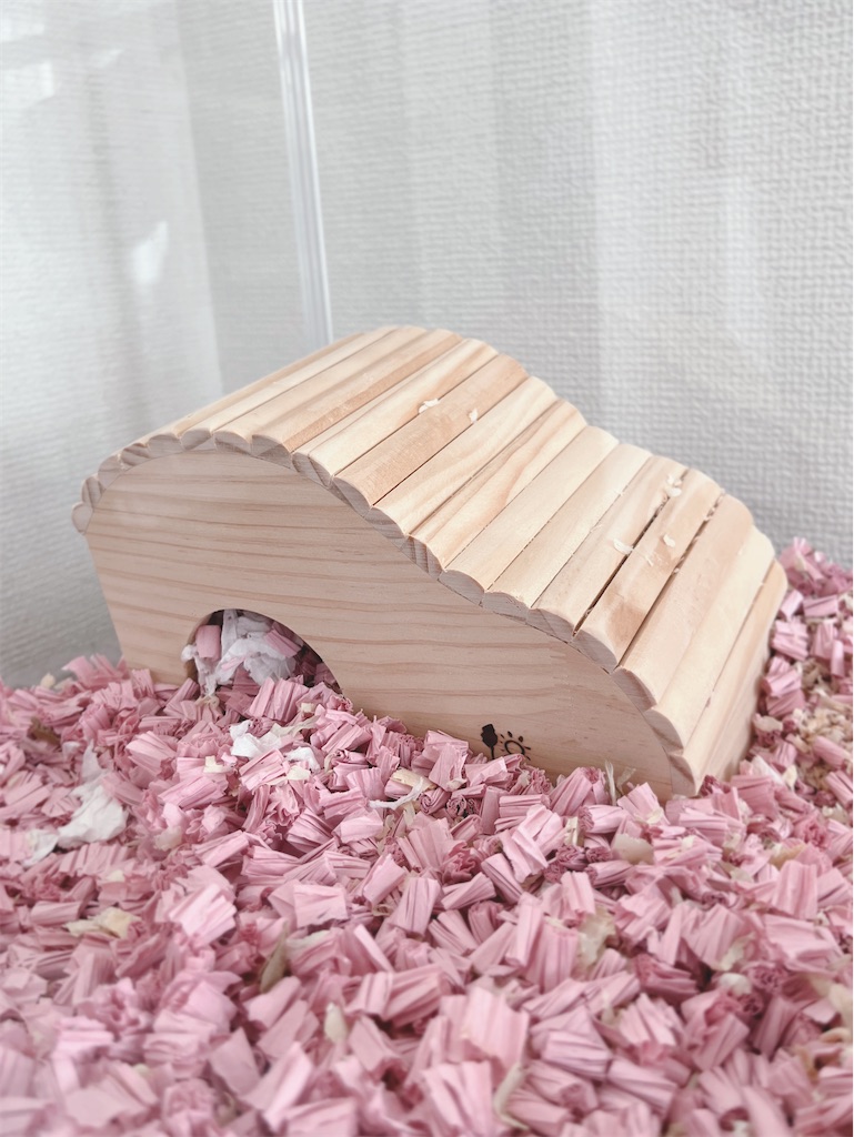 f:id:okirakunahaha:20251126113533j:image