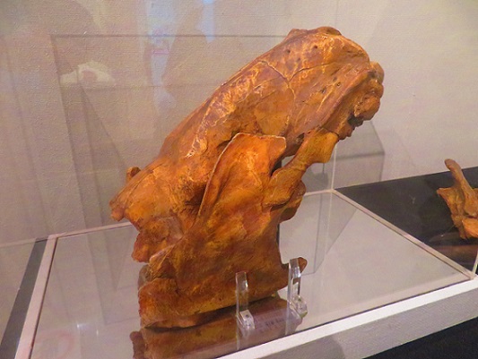 わけあって絶滅したマンモスの毛 ww - お気楽忍者のブログ 参ノ巻